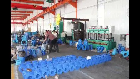 Di Body Swing Worm Gear Knife Gate Valve with Ce Approval